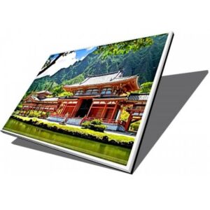 Display laptop 14.1 inch WIDE MAT